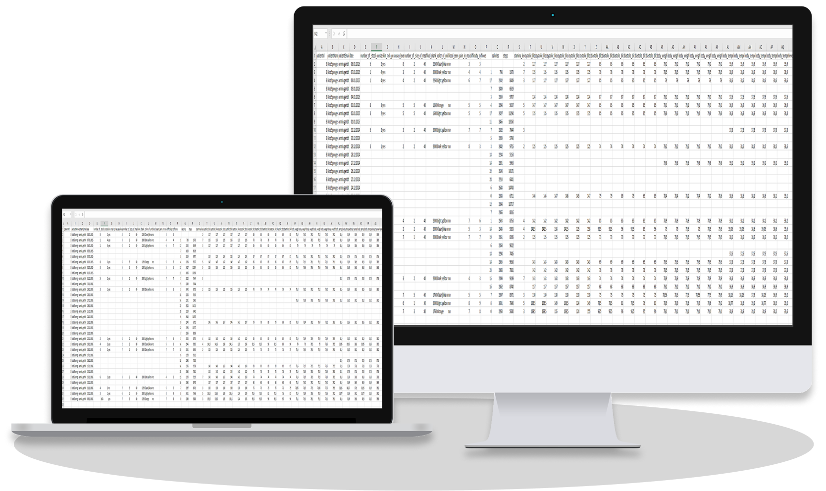 Data Export Function Completed